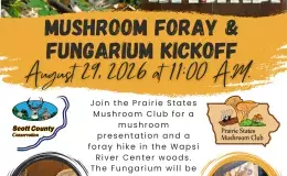 Flyer advertising the event.