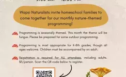 Flyer advertising the event