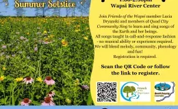 Flyer advertising the event.