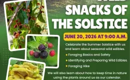 Flyer advertising the event.