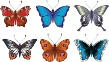 6 colorful butterflies. blue, red, orange, green color variants