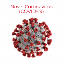 Illustration of Novel Coronavirus (associated with COVID-19)