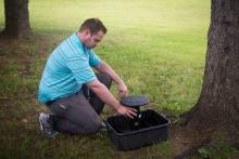 Environmental staff member checking a mosquito trap near a tree in a park