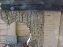 Crackled Lead Paint