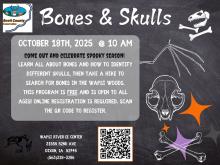 Flyer advertising event
