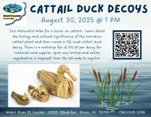 Flyer advertising the event.