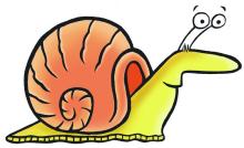 snail clip art image