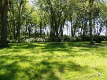 Prairie Sun Picnic Area tables under the trees.