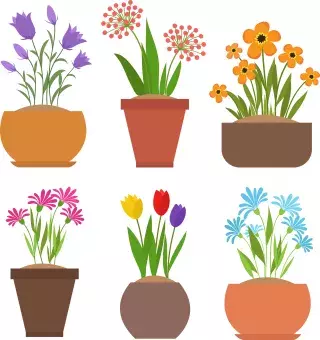 6 potted plants
