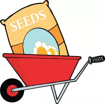 seed bag in a wheelbarrow