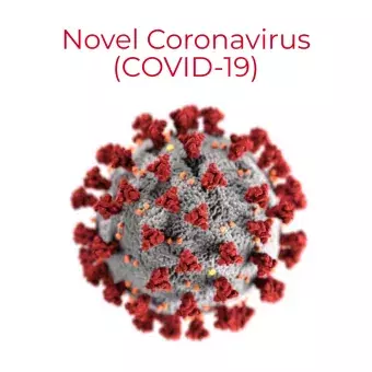 This is the COVID-19 virus