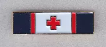 Life Saving Award.JPG