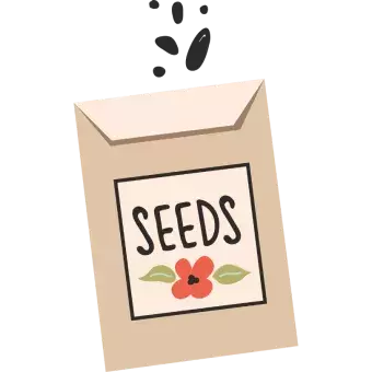 Illustration of a seed packet with a red flower on the label