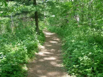 A trail at Wapsi Center.