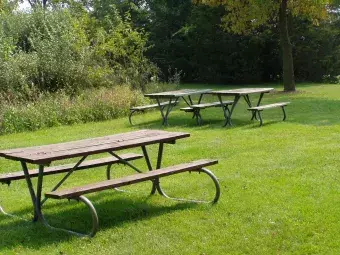 Picnic tables at this picnic area.