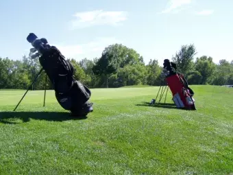 Set of golf bags.