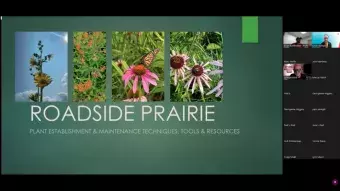 Screenshot of the video.