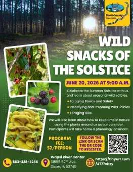 Flyer advertising the event.