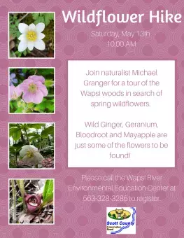 Wildflower hike flyer for event at Wapsi