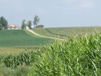 ag-02.jpg