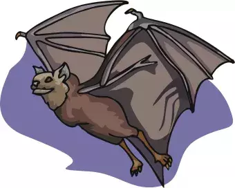 flying black bat with purple background