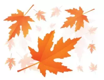 Image of Red Autumnal Falling Maple Leaves