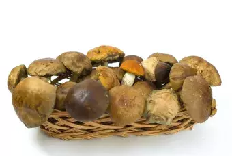 a basket of mushrooms