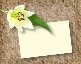One white flower with message-card on textile background.