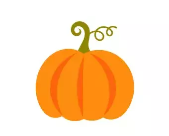 Graphic of orange pumpkin