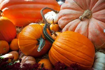 pumpkin.jpg
