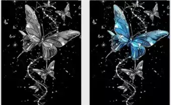 side by side of same butterfly, one in grey, the other in blue