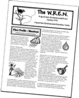 WREN cover