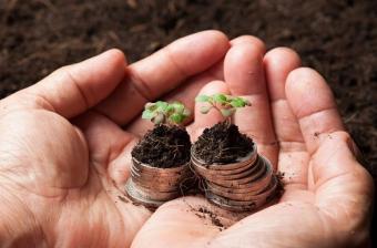 Hands holding money that is "growing" 
