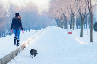 Girl walking dog in the snow