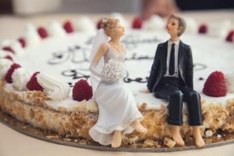 Bride and Groom Cake Topper.