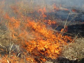 a grass fire.