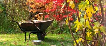 Fall garden.