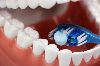 Open mouth with toothbrush positioned to brush the teeth