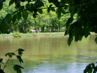 The Wapsipinicon River through tree branches.