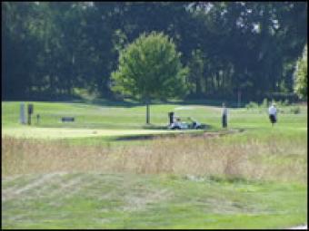 Golfers in the distance