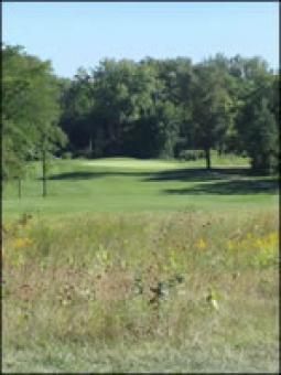 Looking down at one of the fairways.