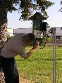 staff member checking a mosquito trap hanging from a tree