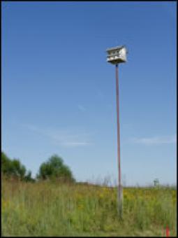 A birdhouse.