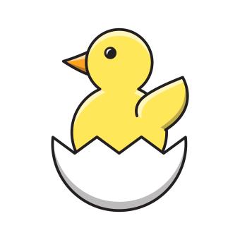 yellow chicken in broken egg shell