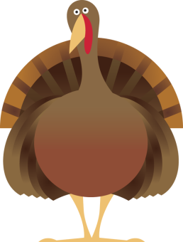turkey