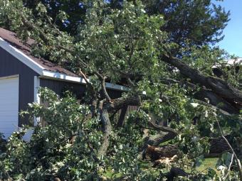 Storm damage tree resting on garage roof.