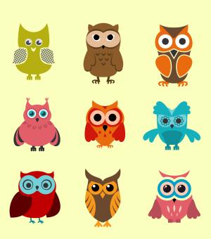 9 illustrated owls of different, bright colors