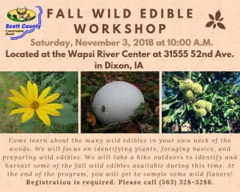 flyer giving information about workshop