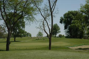 Photo of the golf course landscape