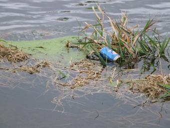 Pop bottle floating in flood waters.